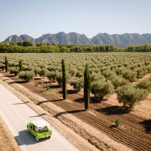 Alpilles tourisme vélorail